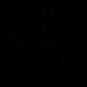 Meet your Posher, Esmae